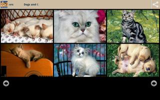 Dogs and Cats Wallpapers screenshot 1