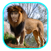 faz-me tigre