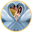 My Love Selfie Photo Frame APK