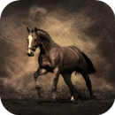 cavalo wallpapers APK