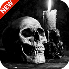 Skull Wallpapers آئیکن