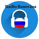 Radio Banovina APK