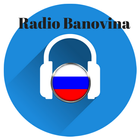 Radio Banovina icône