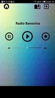 Radio Banovina Affiche