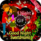 Good Night GIF ícone