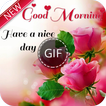 Good Morning Gif