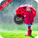 Rose Rain GIF aplikacja