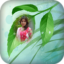 Leaf Photo Frames - leaf pic e APK