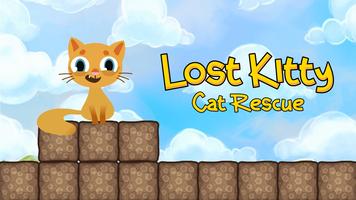 Perdu Kitty: Cat Rescue Affiche