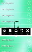 Burung Ringtones 2016 screenshot 3