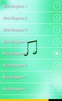 Bird Ringtones 2016 capture d'écran 2