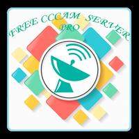 FREE CCCAM Server PRO 48H โปสเตอร์