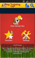 Dog Training Tips poster
