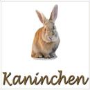 Kaninchen APK