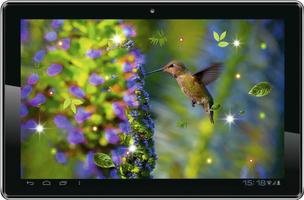 Colibri Amazing live wallpaper imagem de tela 1