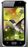 Colibri Amazing live wallpaper imagem de tela 3