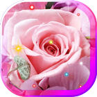 Flowers Love HD live wallpaper 图标