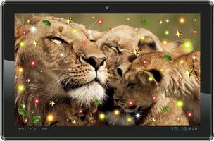 Lions Sounds HD live wallpaper 스크린샷 1