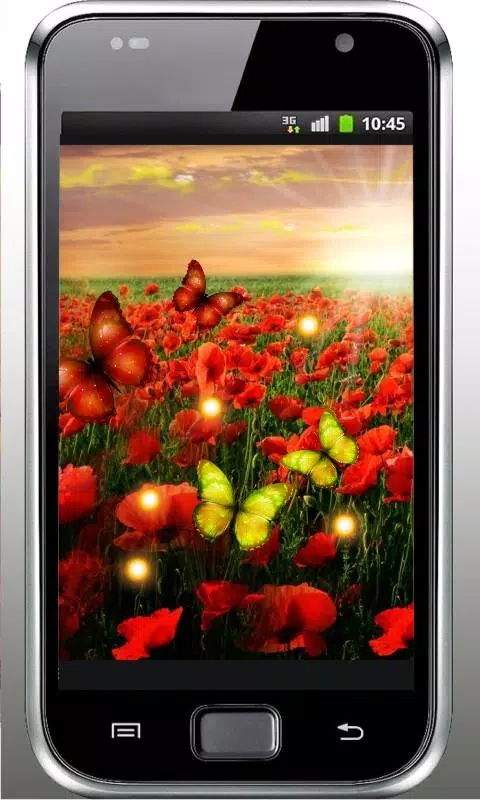 Poppy Flower HD live wallpaper APK for Android Download Poppy Flower HD live wallpaper APK for Android Download