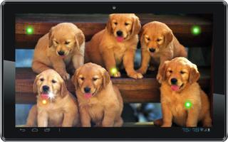 1 Schermata Puppies Voice live wallpaper