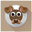 Doggy Face Snapchat Lenses Tip