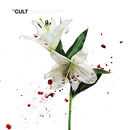 The Cult-APK