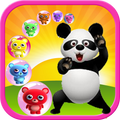 Panda Bubble