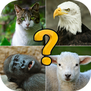 Animal quiz: free quiz game APK