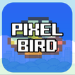 Pixel Bird