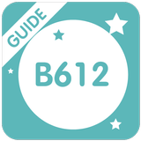 Guide for B612 Selfie Heart icône