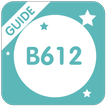 ”Guide for B612 Selfie Heart