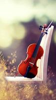Violin HD Wallpapers Affiche