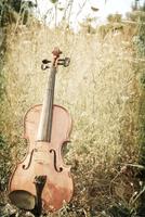 Violin HD Wallpapers Ekran Görüntüsü 3