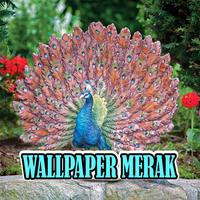 Wallpaper Burung Merak - Terbaru ảnh chụp màn hình 1