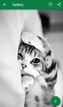 Wallpaper Kucing Lucu For Android Apk Download