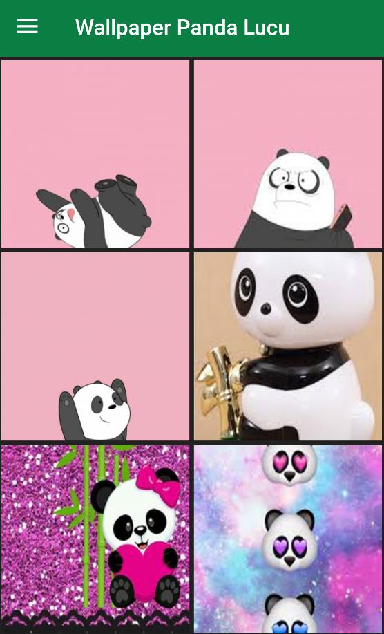 Download Wallpaper Panda Lucu Gif
