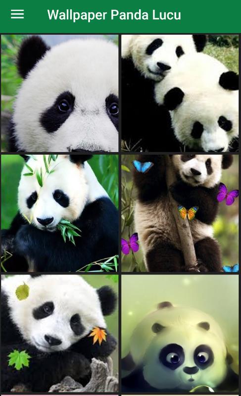  Wallpaper  Panda  Lucu  for Android APK Download