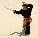 Wallpaper Pencak Silat _ APK