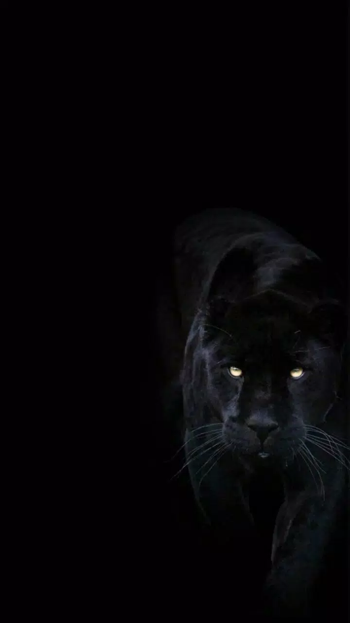Tải xuống APK Black Panther HD Wallpapers cho Android