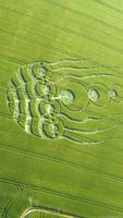 Crop circles HD Wallpapers Ekran Görüntüsü 1