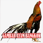 Koleksi Gambar Ayam Bangkok icono