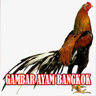 Koleksi Gambar Ayam Bangkok আইকন