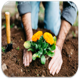 Icona Giardinaggio - Fiori Guida