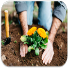 Gardening - Flowers Guide icon