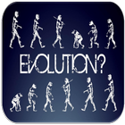 Théorie de l'évolution icône