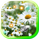 Wild Daisy live wallpaper icône