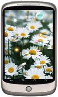 Wild Daisy live wallpaper capture d'écran 2