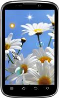 Wild Daisy live wallpaper screenshot 3