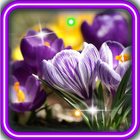 Spring Early Flowers LWP أيقونة