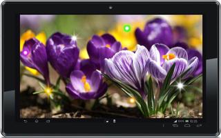Spring Early Flowers LWP screenshot 1